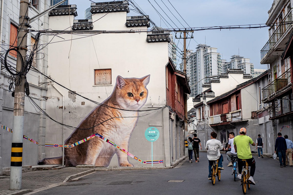 Mural Kucing Hiasi Jalan Bersejarah di Shanghai