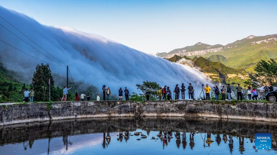 Pelancong menikmati pemandangan awan yang seakan-akan mengalir menuruni Gunung Jinfo di Chongqing, barat daya China, 13 Mei 2024. (Xinhua/Qu Mingbin)